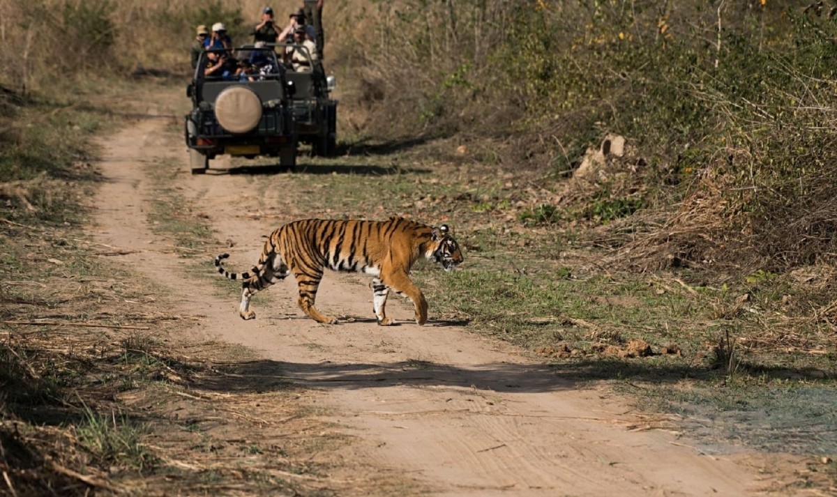 Golden Triangle with Ranthambore Tour 1