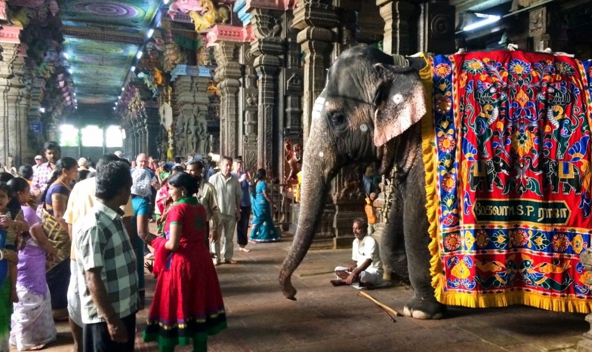 South India Uncovered 1