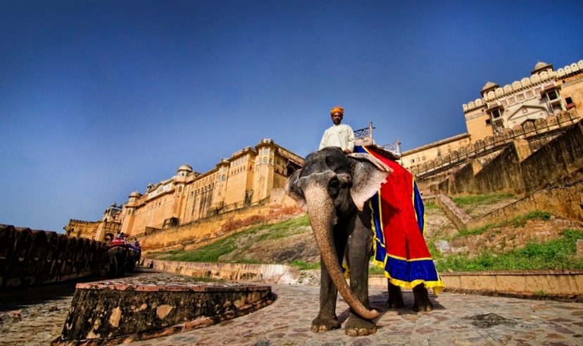 Rajasthan Tour with Ranthambore 4