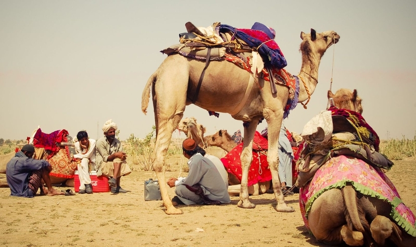 Rajasthan In Depth 3
