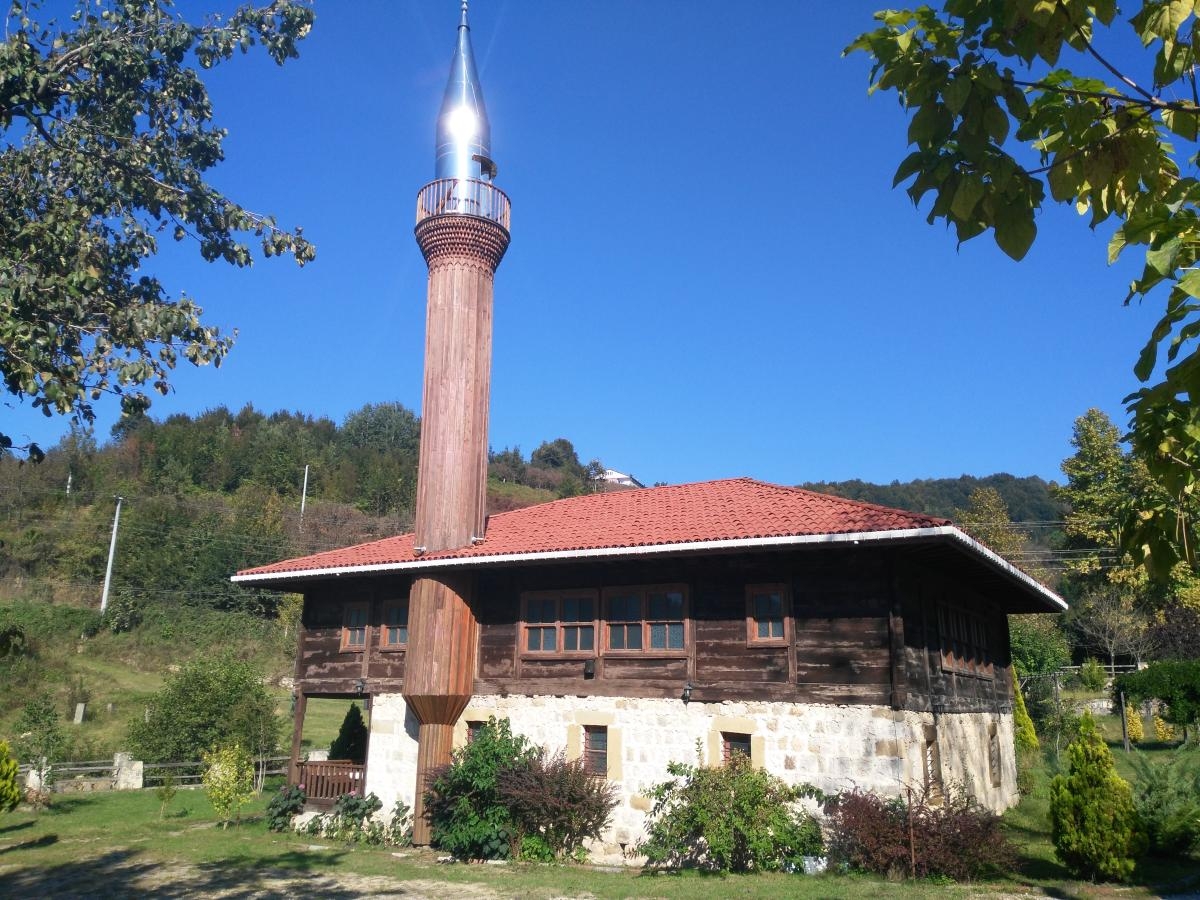 Image 1