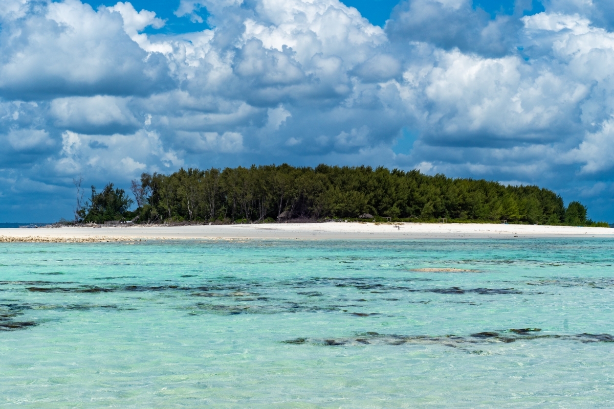 Zanzibar: Mnemba Island Snorkeling & Dolphin Watching Tour with Lunch 2