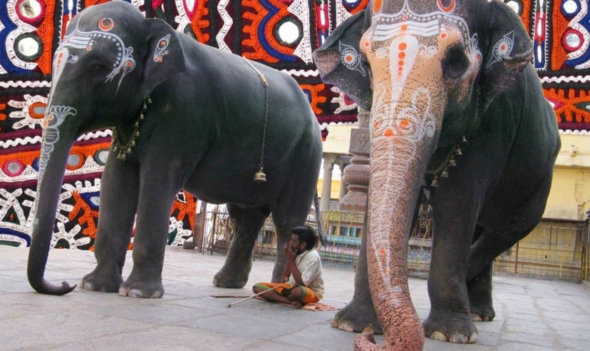 Highlights of Tamil Nadu 2