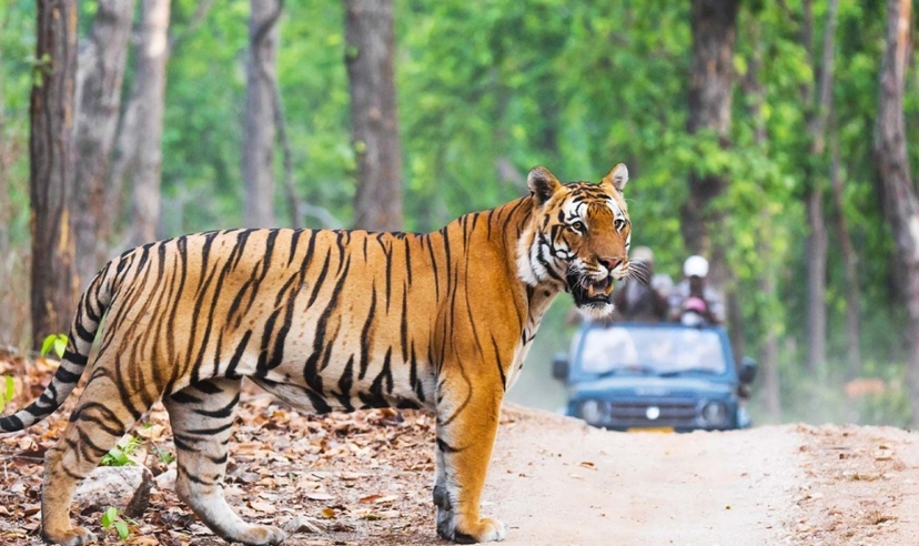 Rajasthan Tour from New Delhi 2