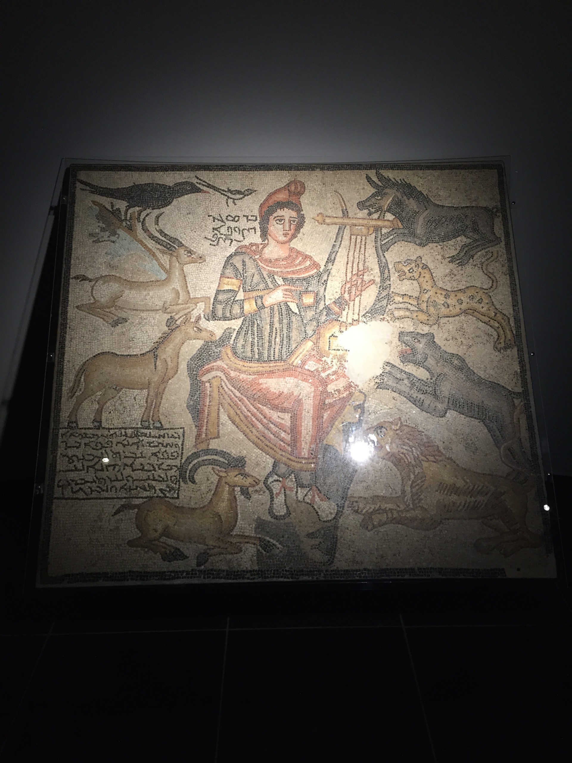 orpheus-mosaic-edessaurdahaleplibahce-mosaics-4123