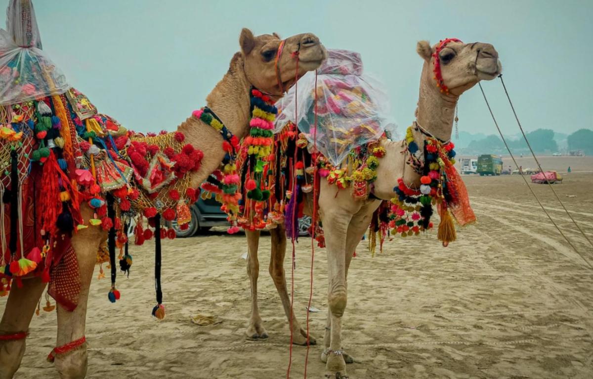 Historical Rajasthan Historical Rajasthan