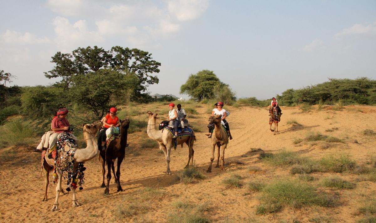 North India Culture Tour from Delhi North India Culture Tour from Delhi