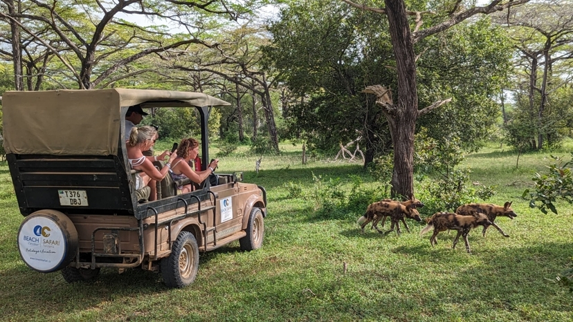 From Zanzibar: Day Selous Game Reserve Safari with Lunch 2