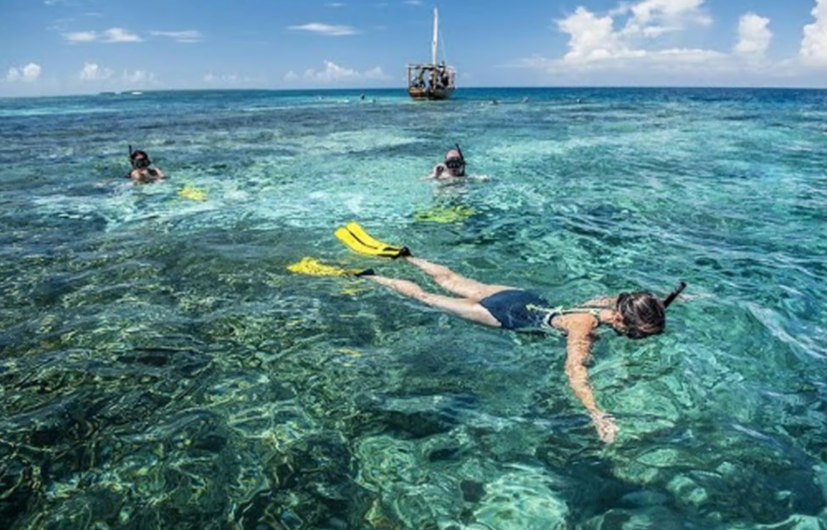Zanzibar Half-Day Blue Lagoon Snorkeling Tour, blue adventure 1