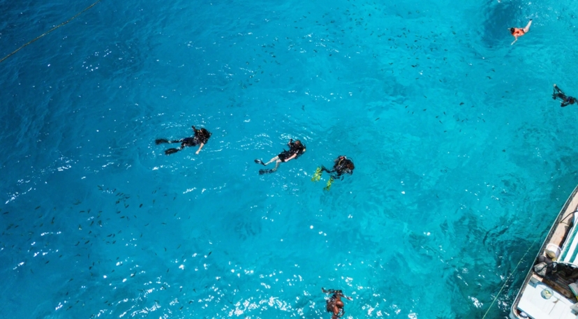 Zanzibar: 1 Day Diving Safari with 2 Stunning Scuba Dives - With a meeting point 2