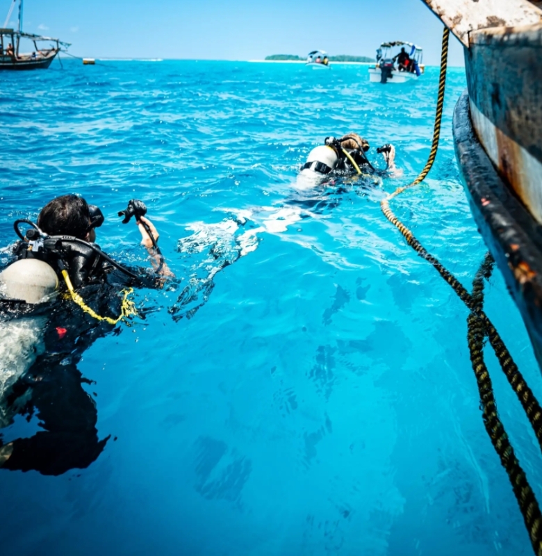 Zanzibar: 1 Day Diving Safari with 2 Stunning Scuba Dives - With a meeting point 3