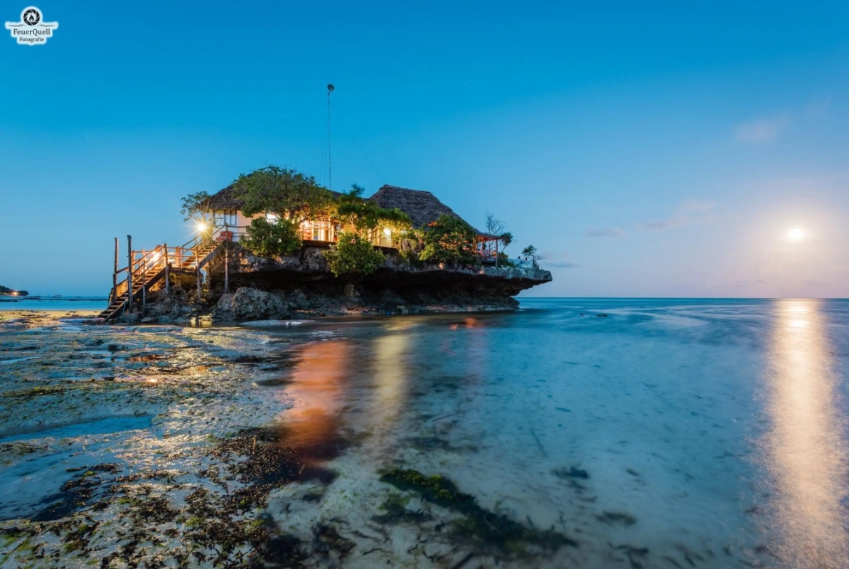 Zanzibar: Jozani Forest,Red colobus,the Rock Restaurant Tour 1