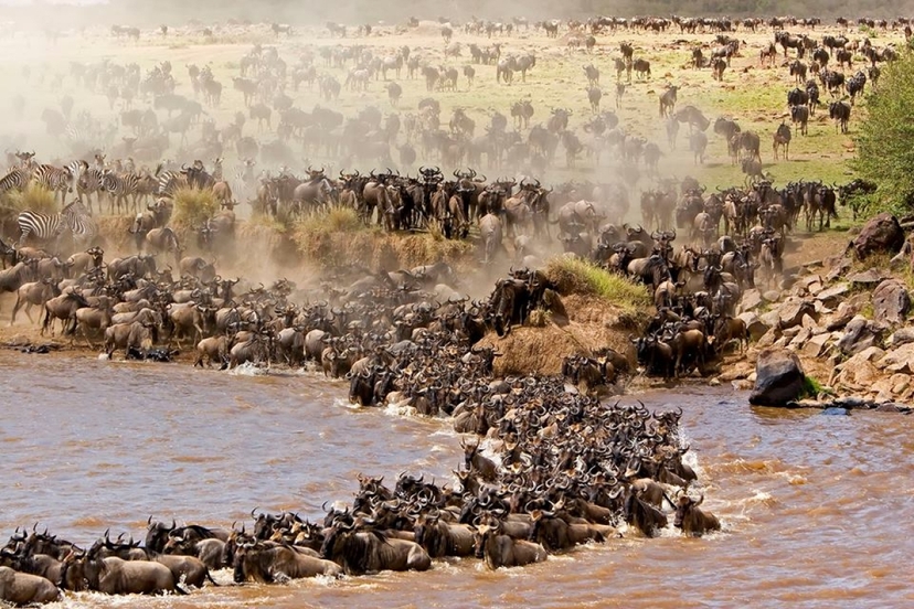 3 Days Maasai Mara Safari 4