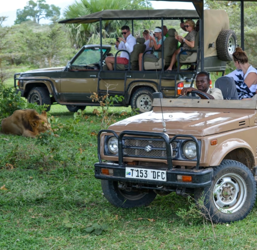 From Zanzibar: 2 Days 1 Night Selous GR Safari with Flights 2