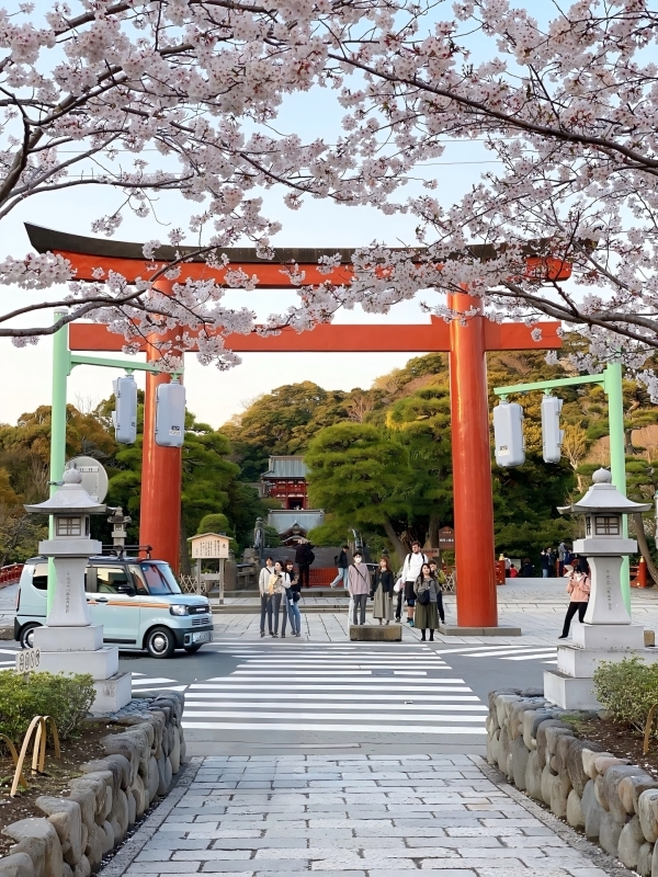 Day Trip Kamakura & Enoshima Island from Tokyo【English guide】 3