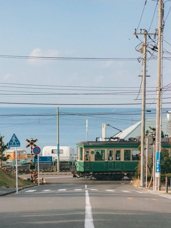Day Trip Kamakura & Enoshima Island from Tokyo【English guide】 4