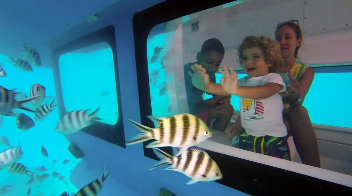 Zanzibar Semi-Submarine Tour: Bawe Island Reef Experience 1