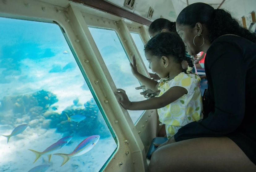Zanzibar Semi-Submarine Tour: Bawe Island Reef Experience 2