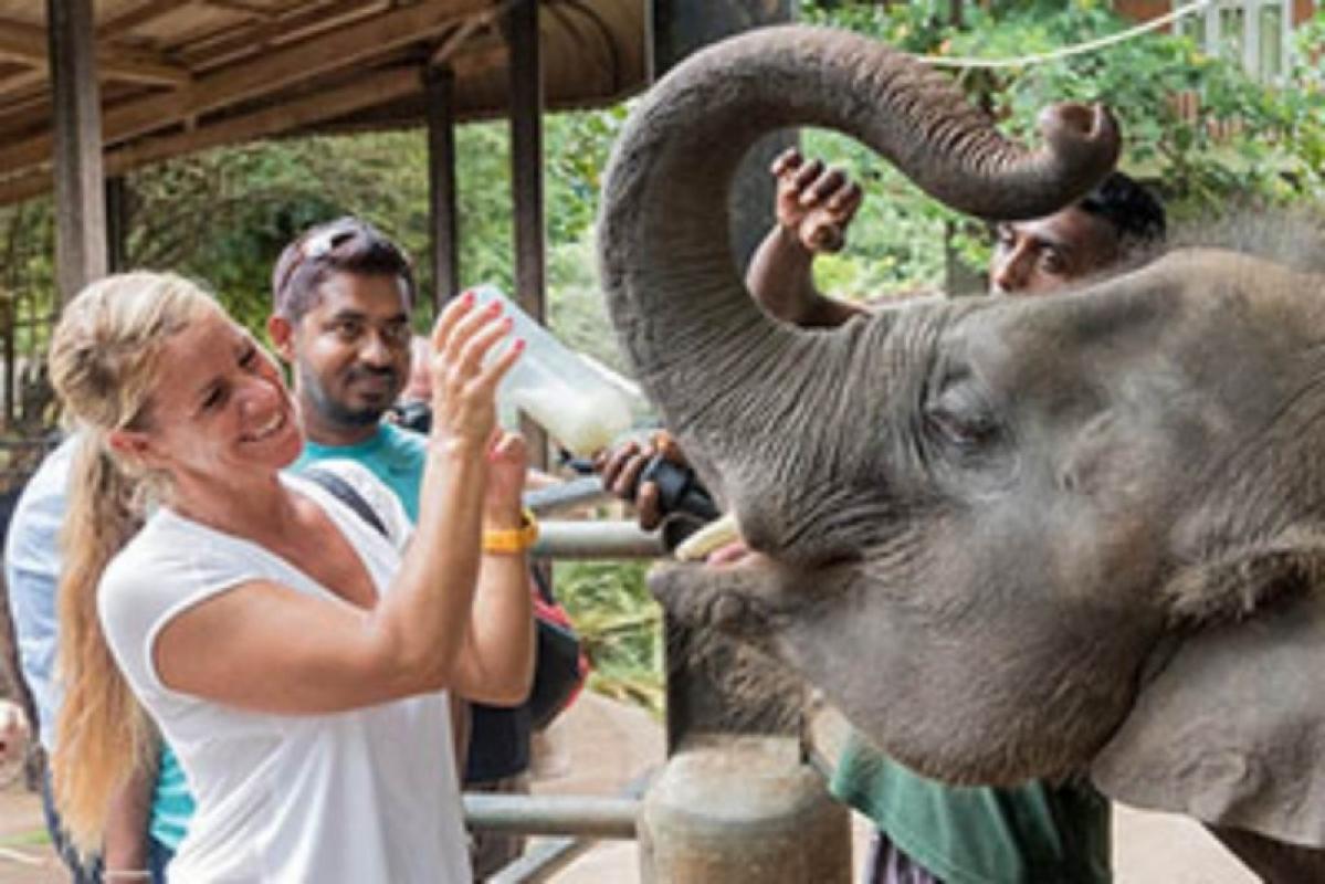 Elephant Kingdom of Sri Lanka – 15 Days Elephant Kingdom of Sri Lanka – 15 Days