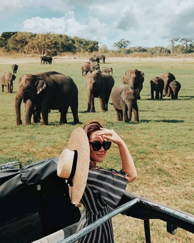 Elephant Kingdom of Sri Lanka – 15 Days 2