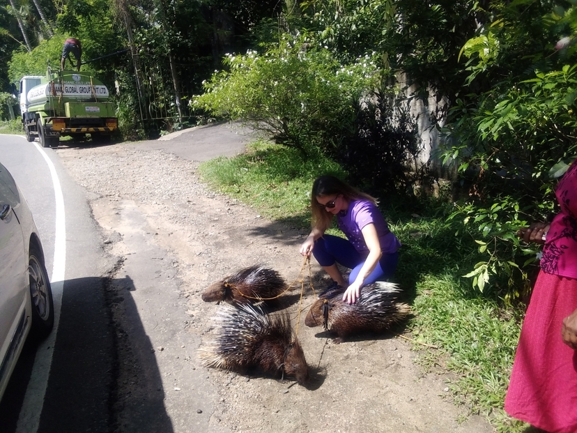 Wild Sri Lanka Explorer – 18 Days 3