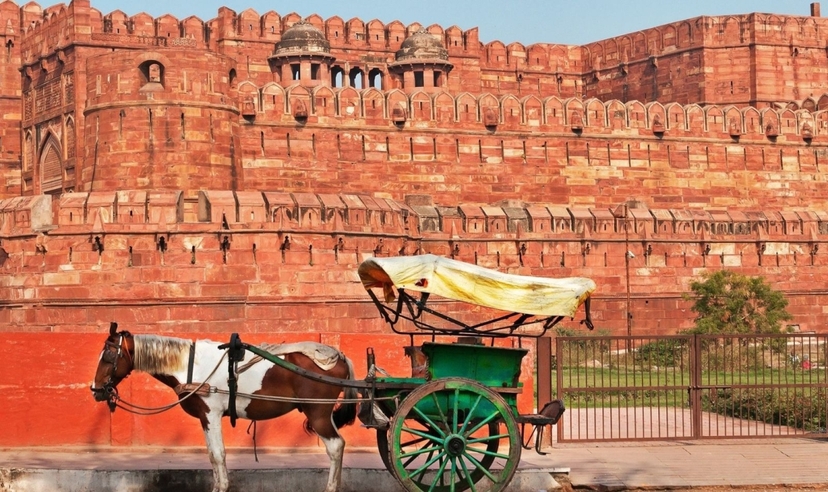 Rajasthan Trails & Taj Splendor 3