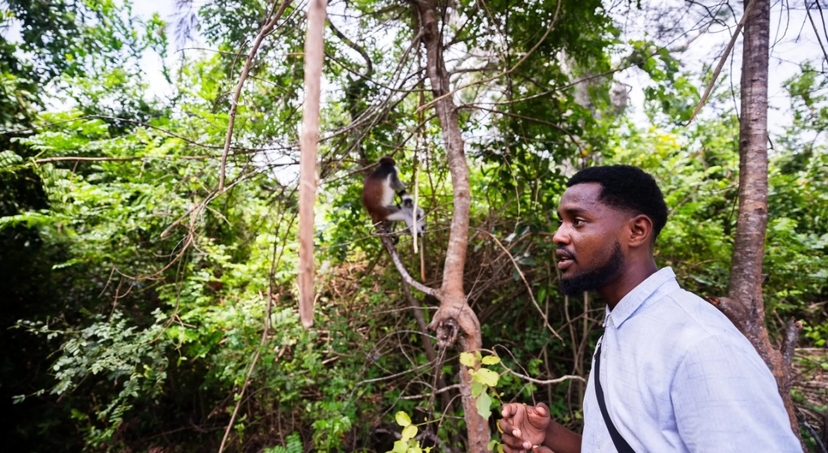 Zanzibar: Jozani Forest & Butterfly Centre Tour with Hotel Transfers 2