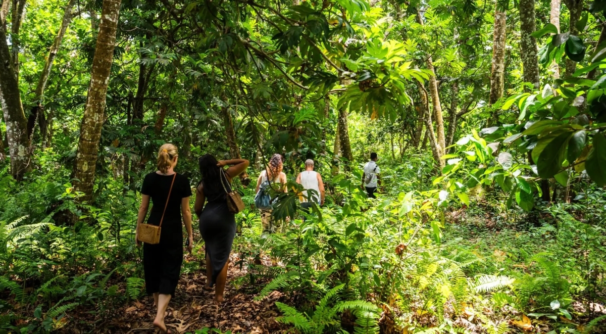 Zanzibar: Jozani Forest & Butterfly Centre Tour with Hotel Transfers 1