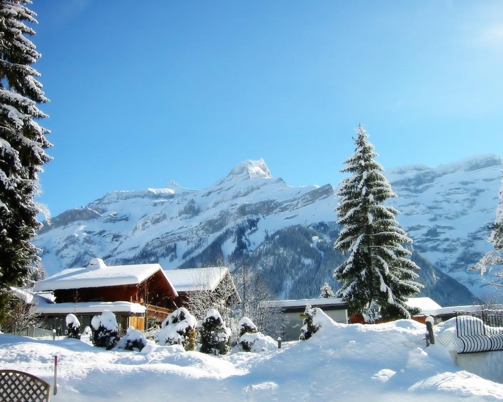 Shimla, Manali, Chandigarh with Delhi Tour 1