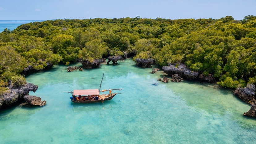 Zanzibar: 1 Day Blue Safari, Blue horizon experience (Private) 4