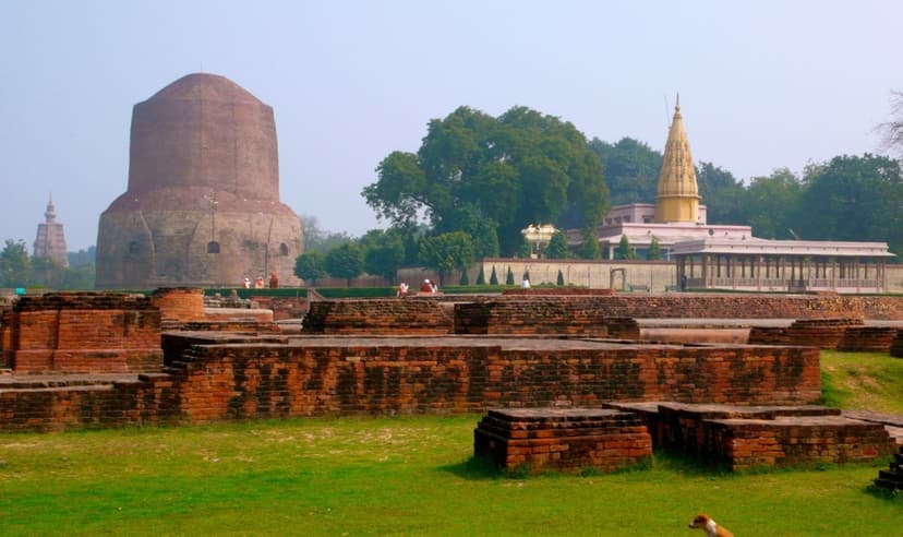 India Ranthambore Safari & Heritage Trails 4