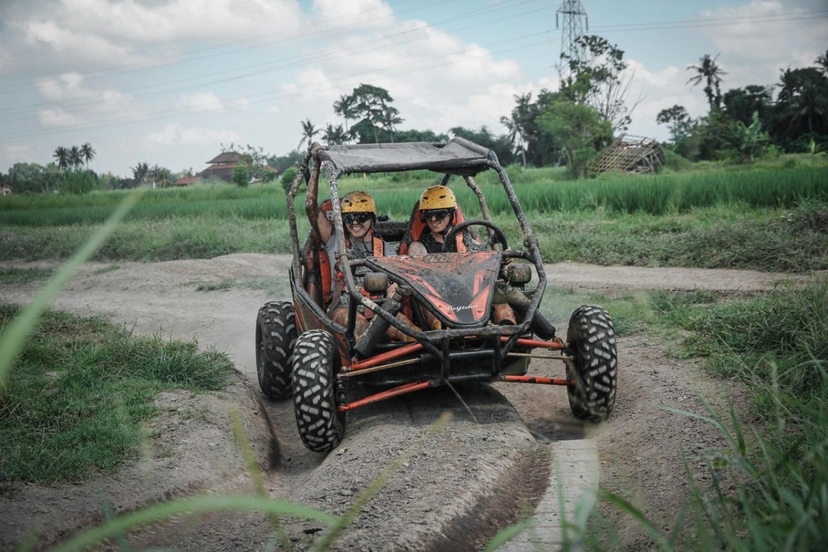 Bali: Buggy adventure with meal 3