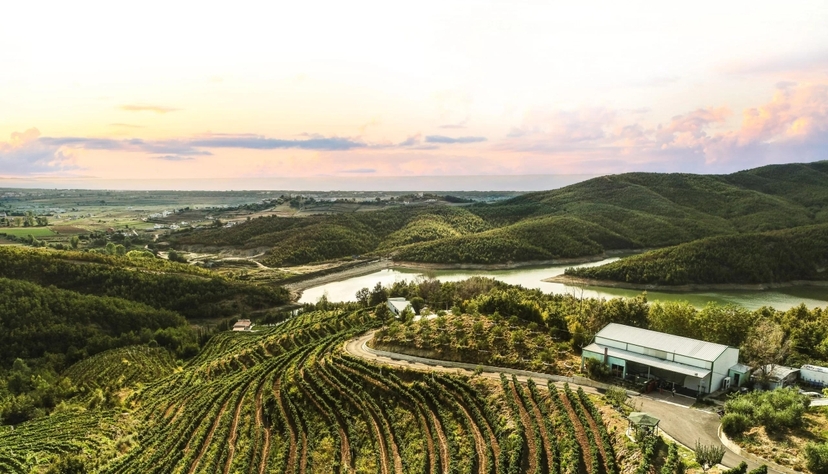 Daily Tour of Rodon Cape ATV & Wine Tasting & Green Lake boat ride 4