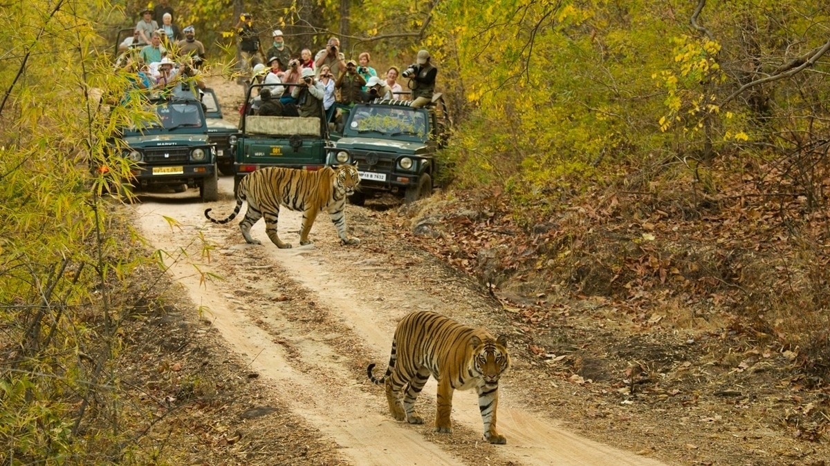 Ranthambore Tigers, Forts & Goa Tropical Trails 1