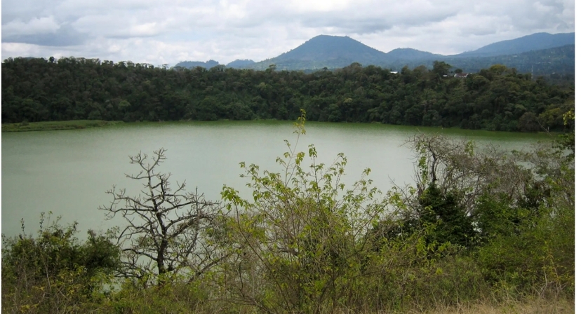From Arusha : Canoeing Lake Duluti Tour with transfer 3