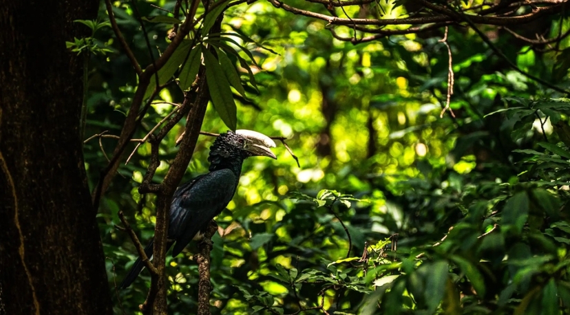 From Arusha: 6 Day Safari Ngorongoro Adventure and Serengeti 4