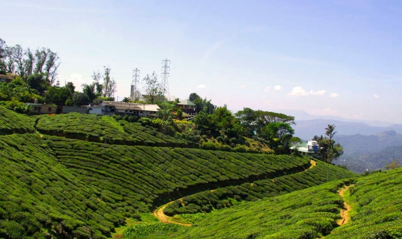 South India Panorama Trails 2
