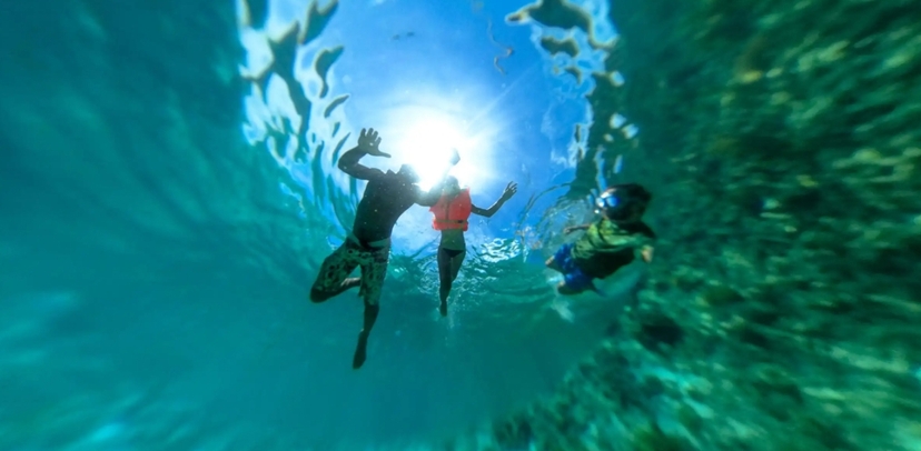 Zanzibar: Mnemba Glass Boat Tour with Coral Reefs, Fish & Sea Walk 4