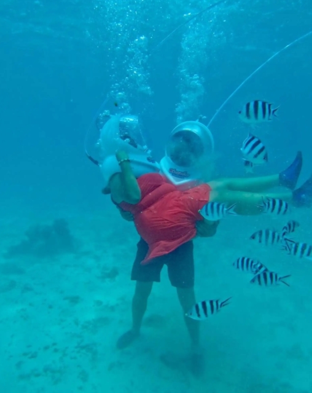 Zanzibar:Sunset cruise Glass Boat Tour with Coral Reefs, Fish & Sea Walk 3