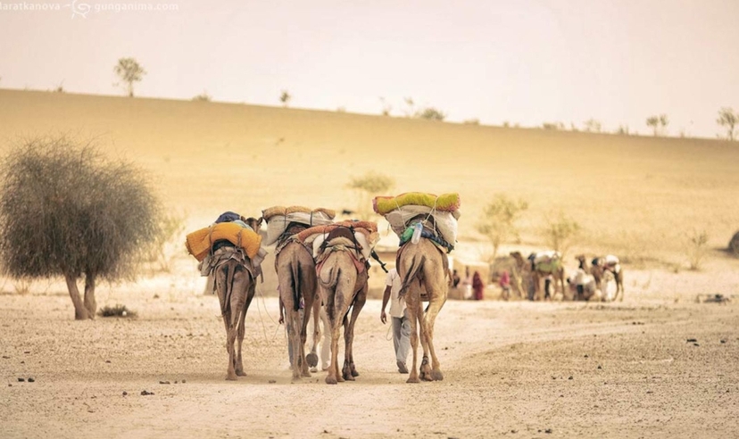 Rajasthan Heritage & Desert Trails 2