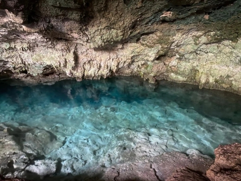Zanzibar Seaweed Farming & Kuza Cave Adventure 4