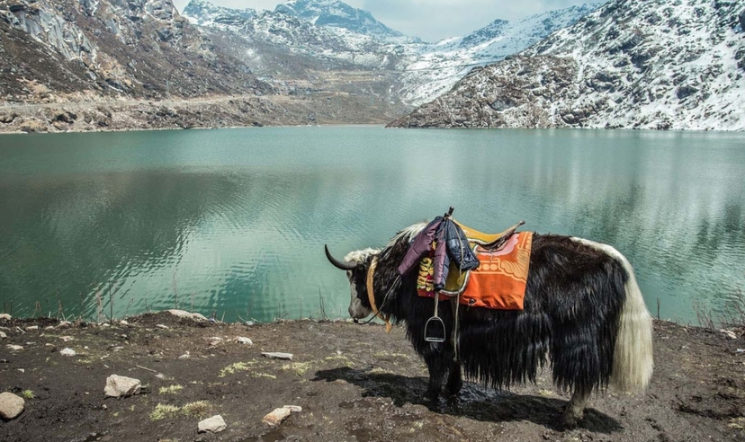 India to Bhutan Panorama Trail 4