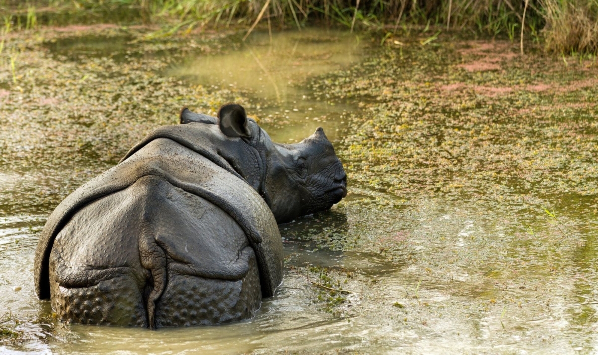 Northeast India Adventure Trail 1