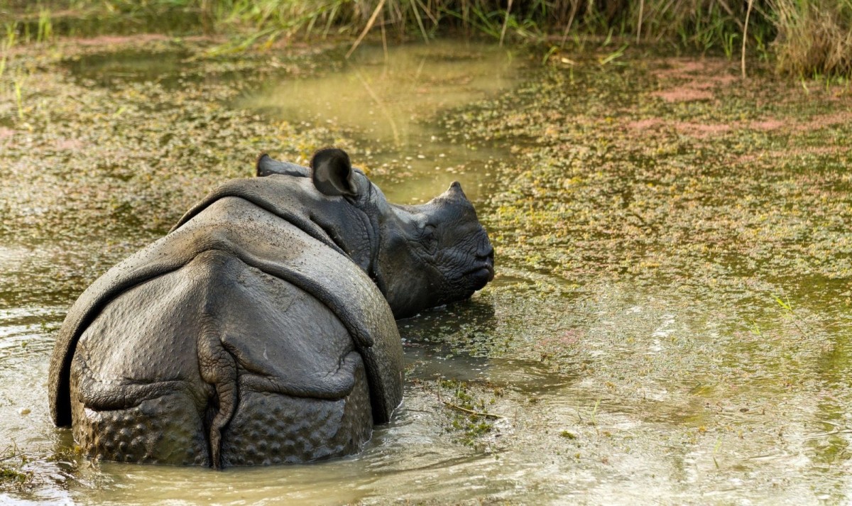 Northeast India Adventure Trail 1