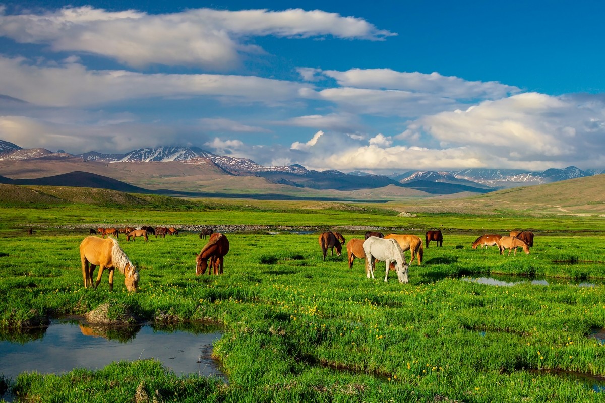 Fly through Pakistan – 12 Days of Wonders “Pakistan Cultural & Northern Wonders Journey” 1