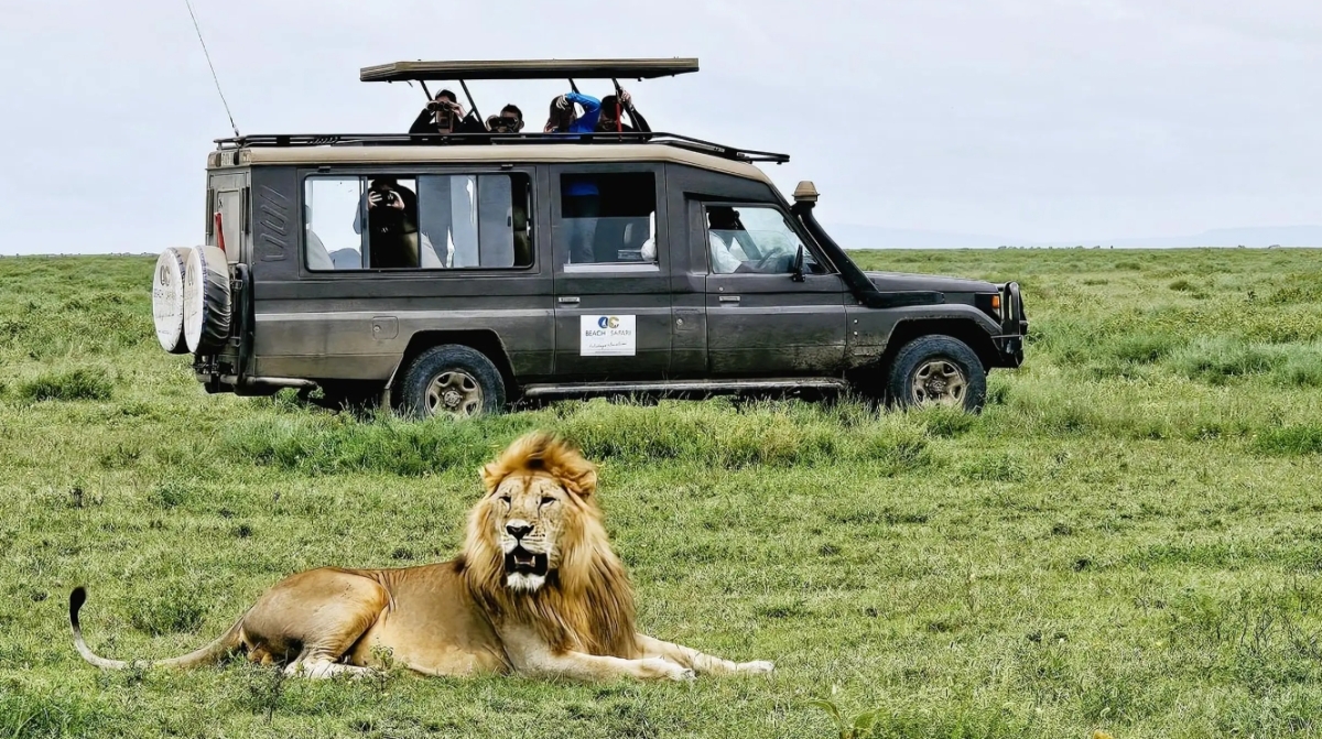From Arusha: 4-Day Ngorongoro Safari, Lake Manyara & Maasai 1