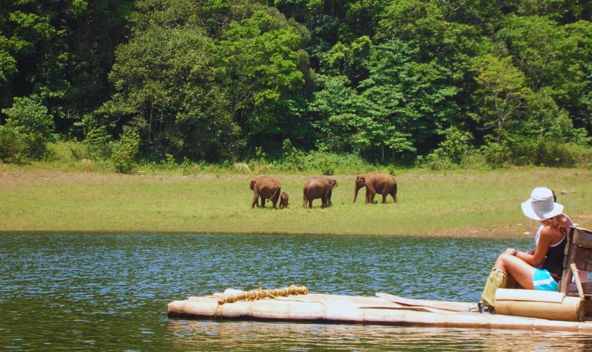 Kerala Serenity & Shores Trail 1