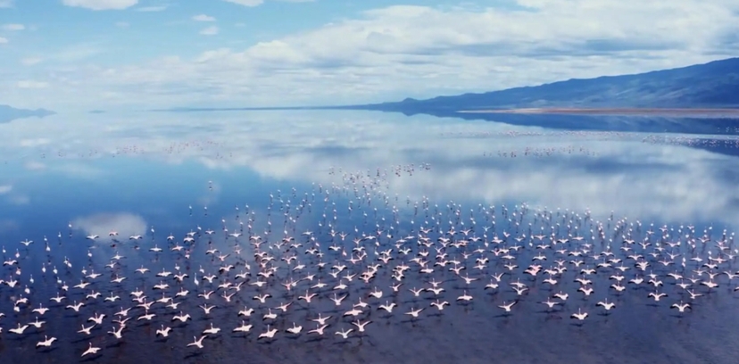 3-Day Tarangire & Lake Natron Flamingo Safari from Arusha 4