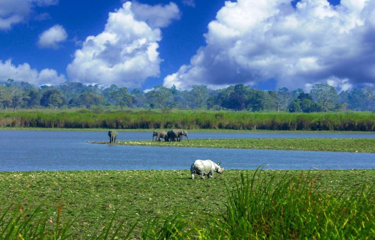 Northeast India and Bhutan Enchanting Trails 1