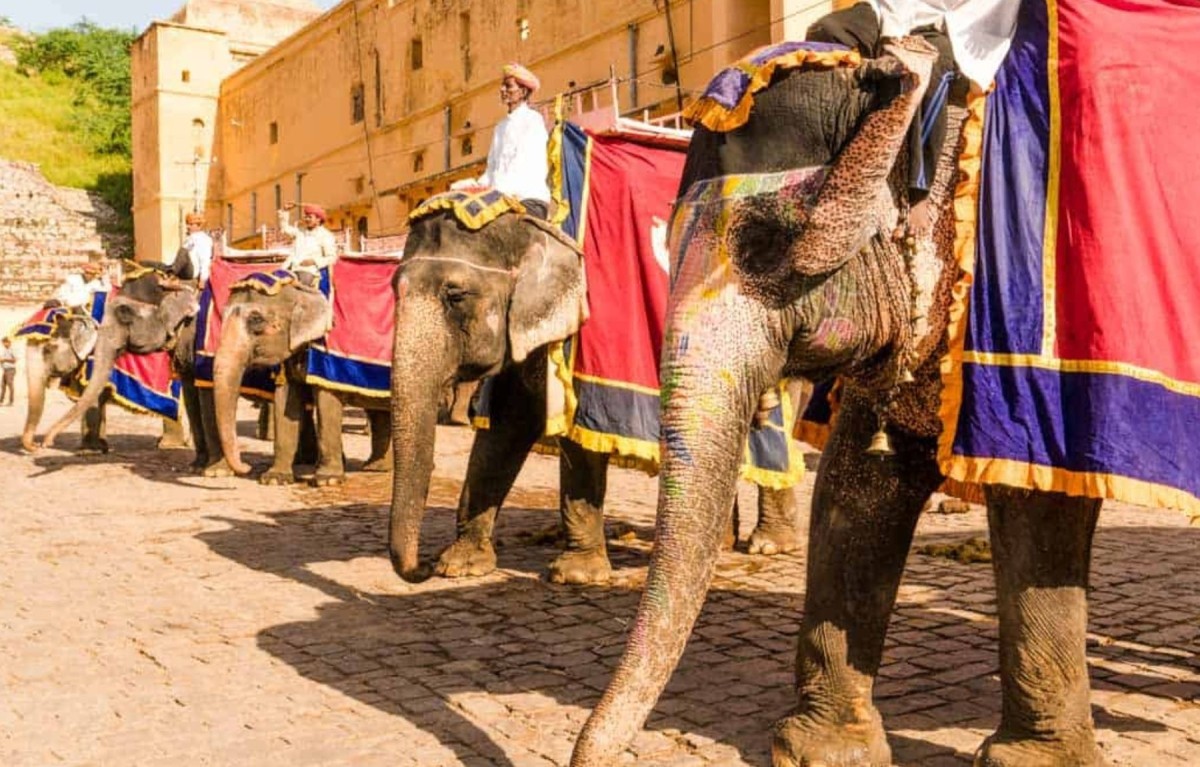 Timeless North and South India Trails 1